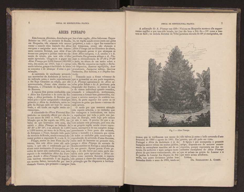 Jornal de horticultura prtica III 11