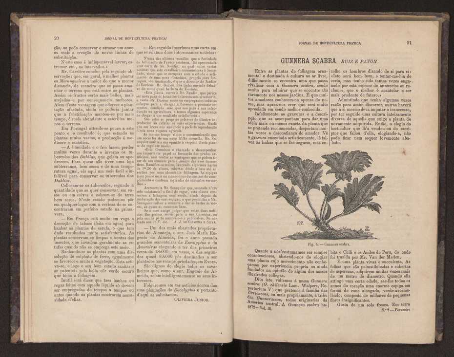 Jornal de horticultura prtica III 18