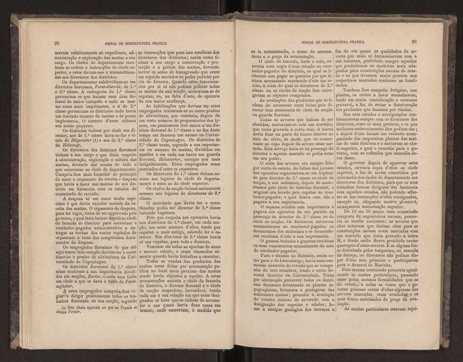 Jornal de horticultura prtica III 22