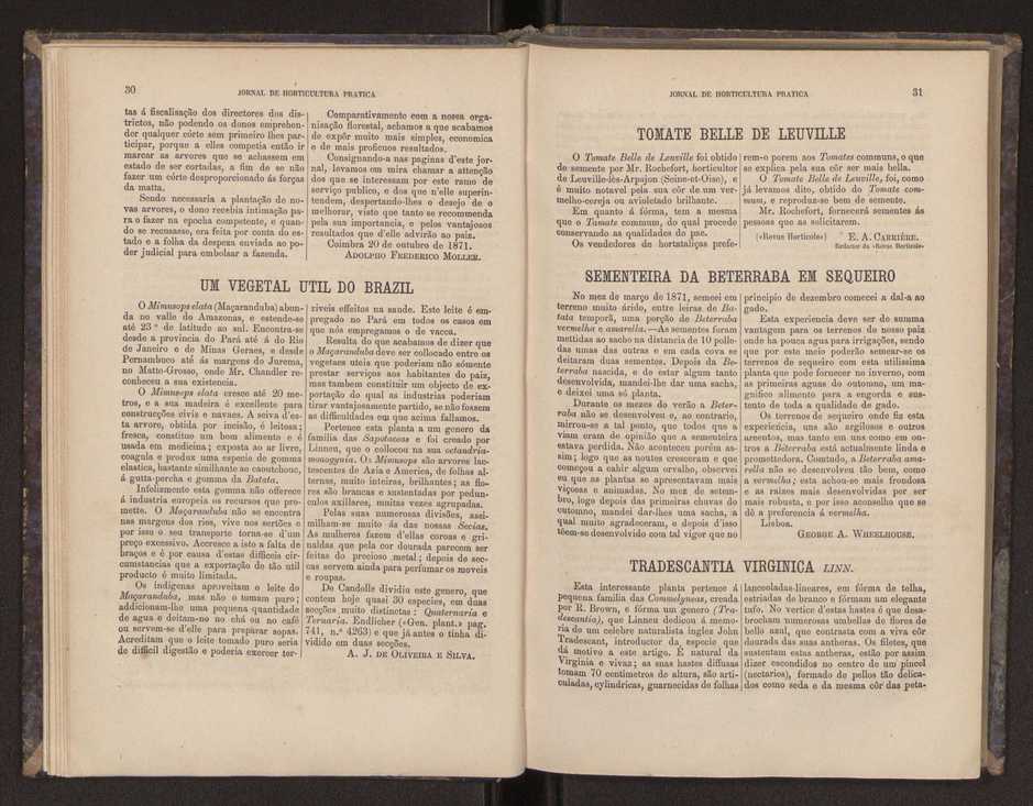 Jornal de horticultura prtica III 23
