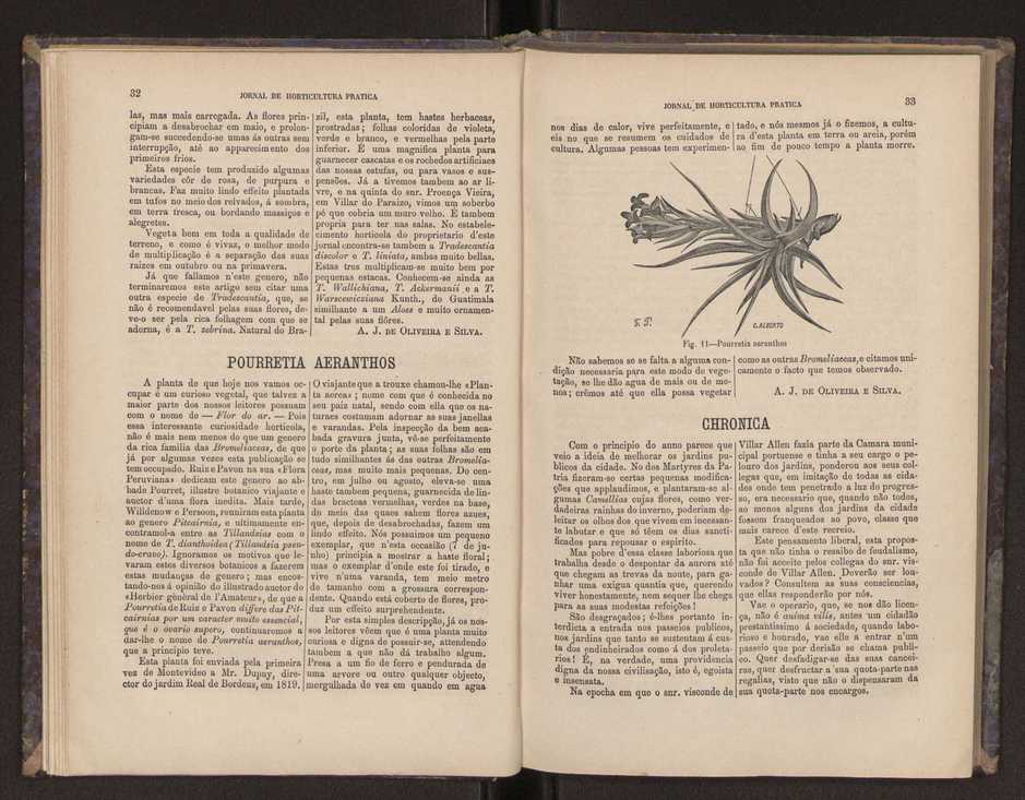 Jornal de horticultura prtica III 24