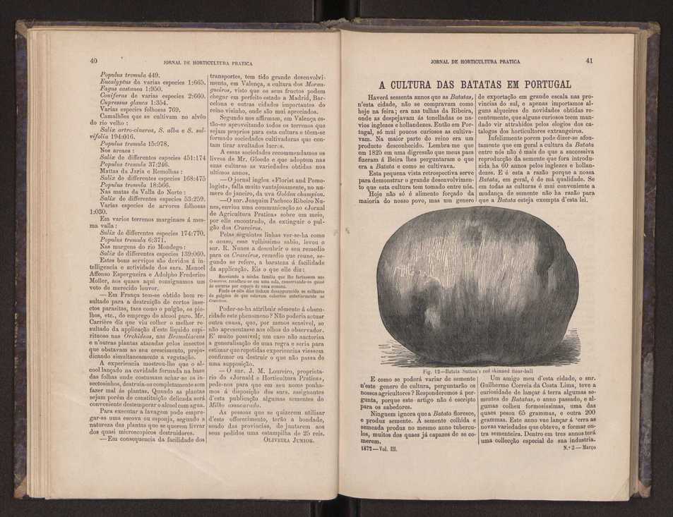 Jornal de horticultura pr�tica III 28