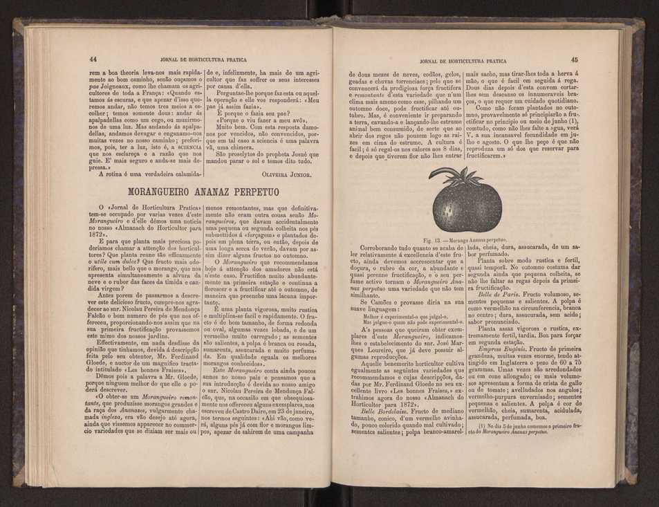 Jornal de horticultura prtica III 30