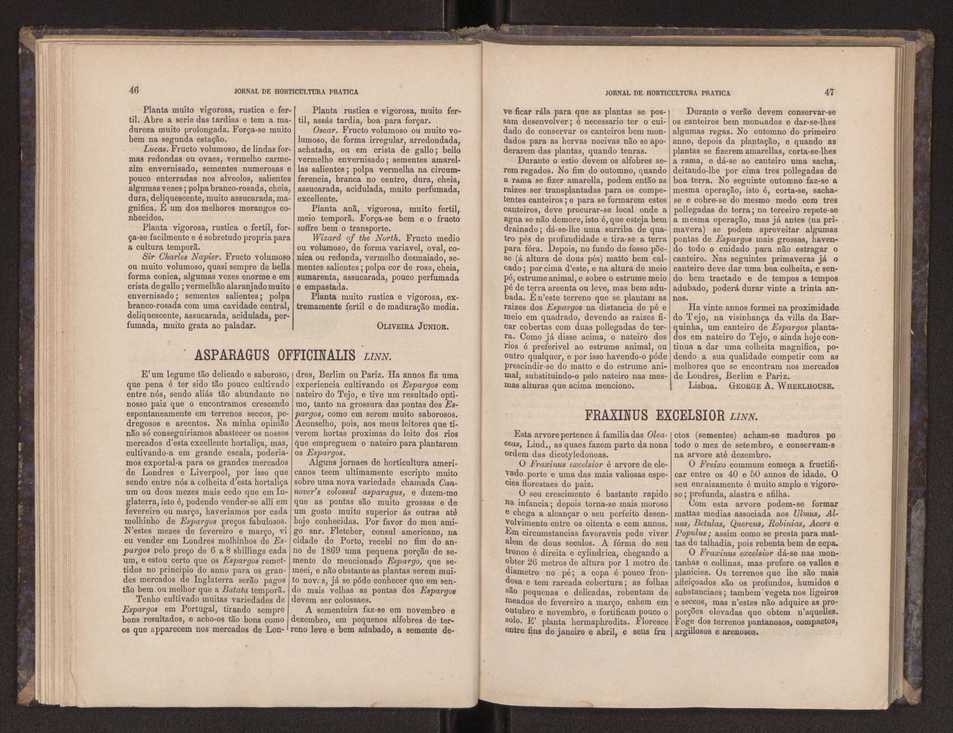 Jornal de horticultura prtica III 31