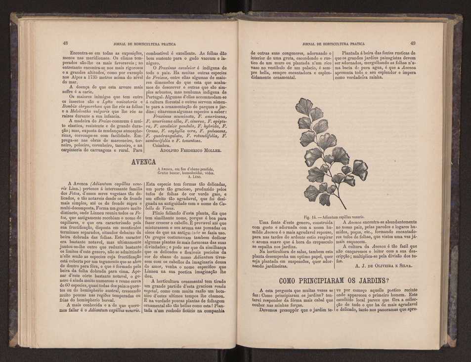 Jornal de horticultura prtica III 32