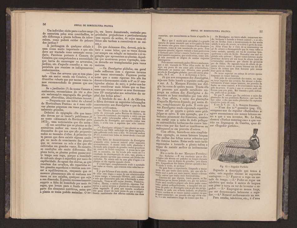 Jornal de horticultura prtica III 36