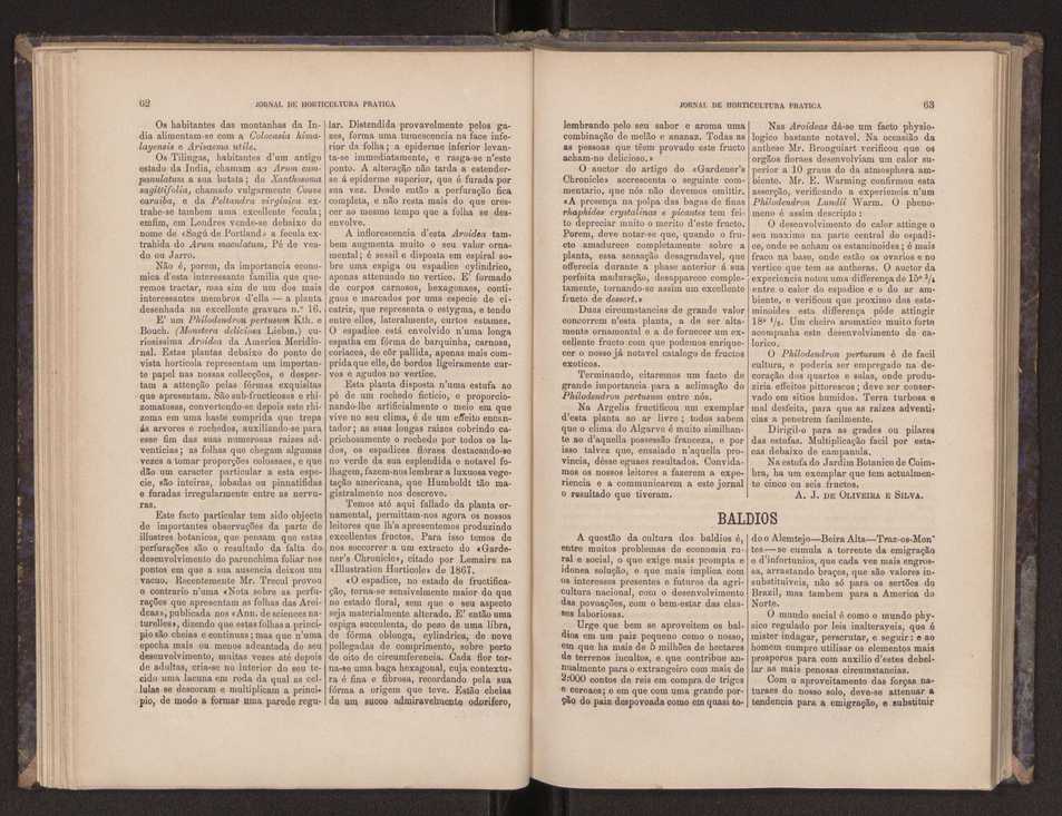 Jornal de horticultura pr�tica III 39