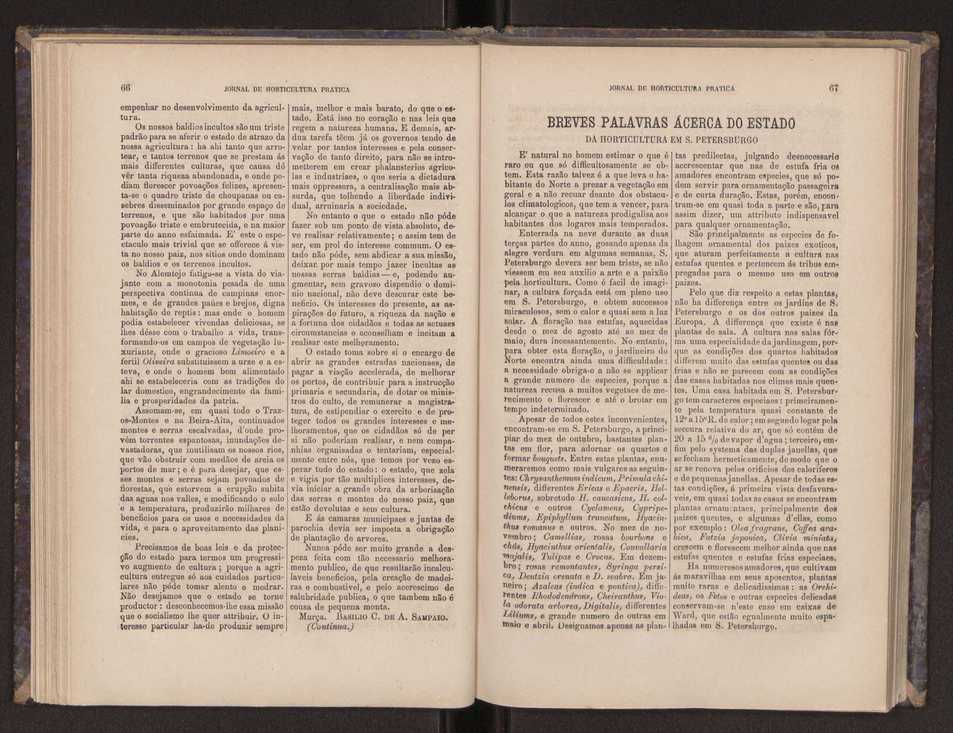 Jornal de horticultura prtica III 41