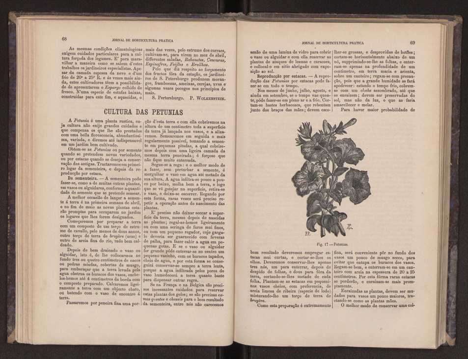 Jornal de horticultura prtica III 42