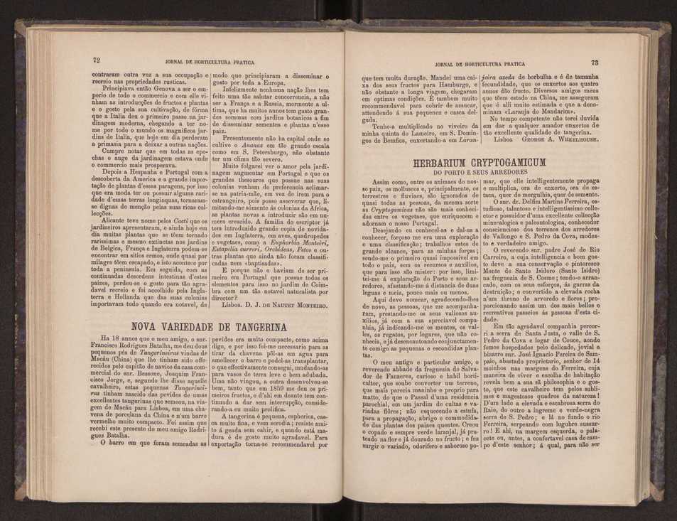 Jornal de horticultura prtica III 44