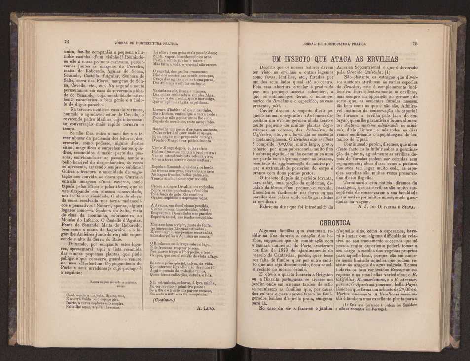 Jornal de horticultura prtica III 45
