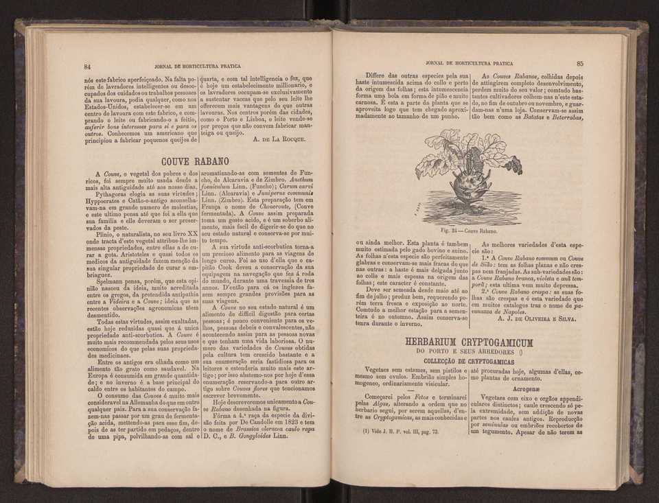 Jornal de horticultura prtica III 50