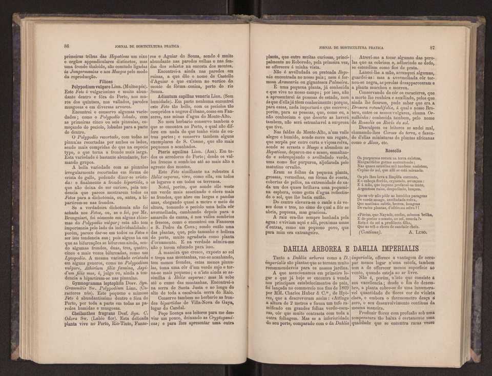 Jornal de horticultura prtica III 51