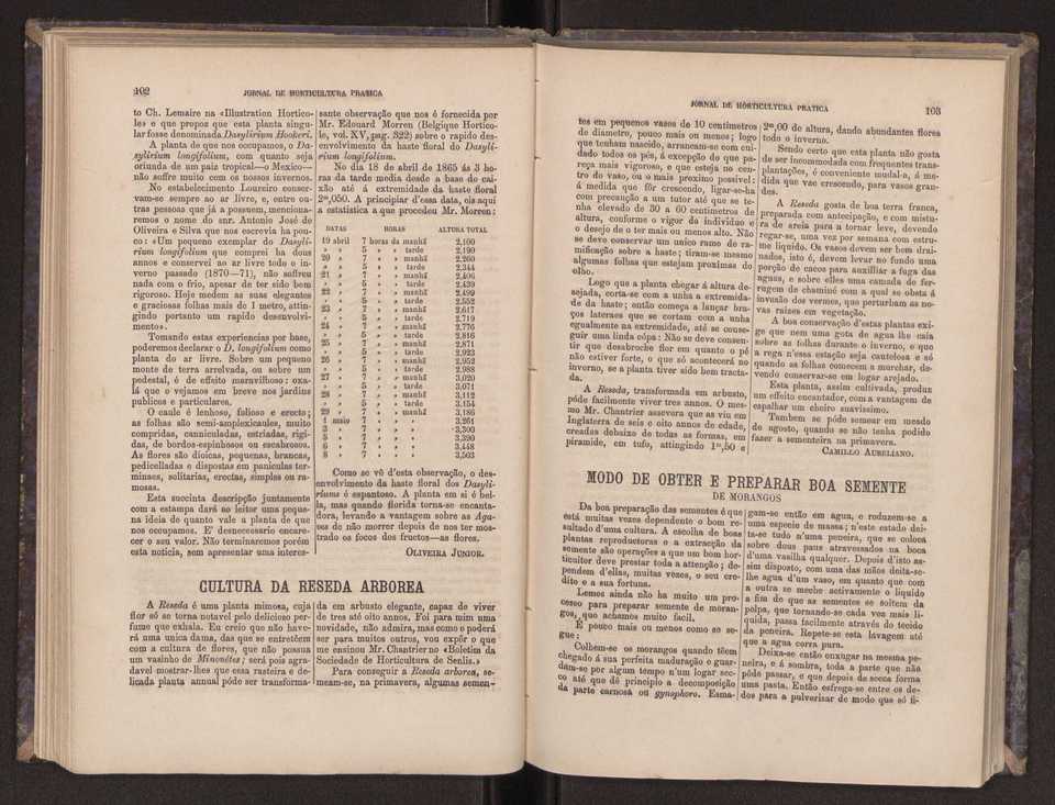 Jornal de horticultura prtica III 59