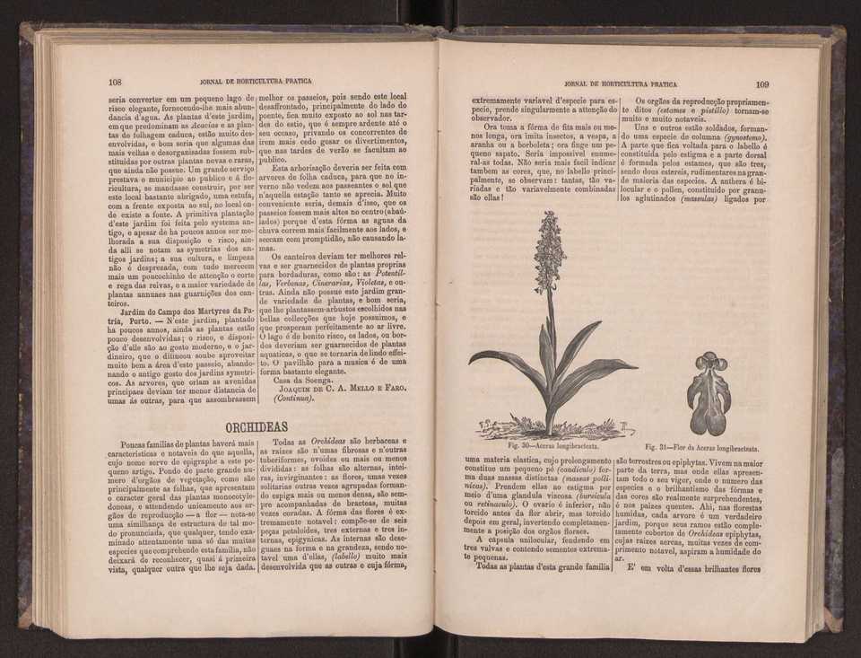 Jornal de horticultura prtica III 62