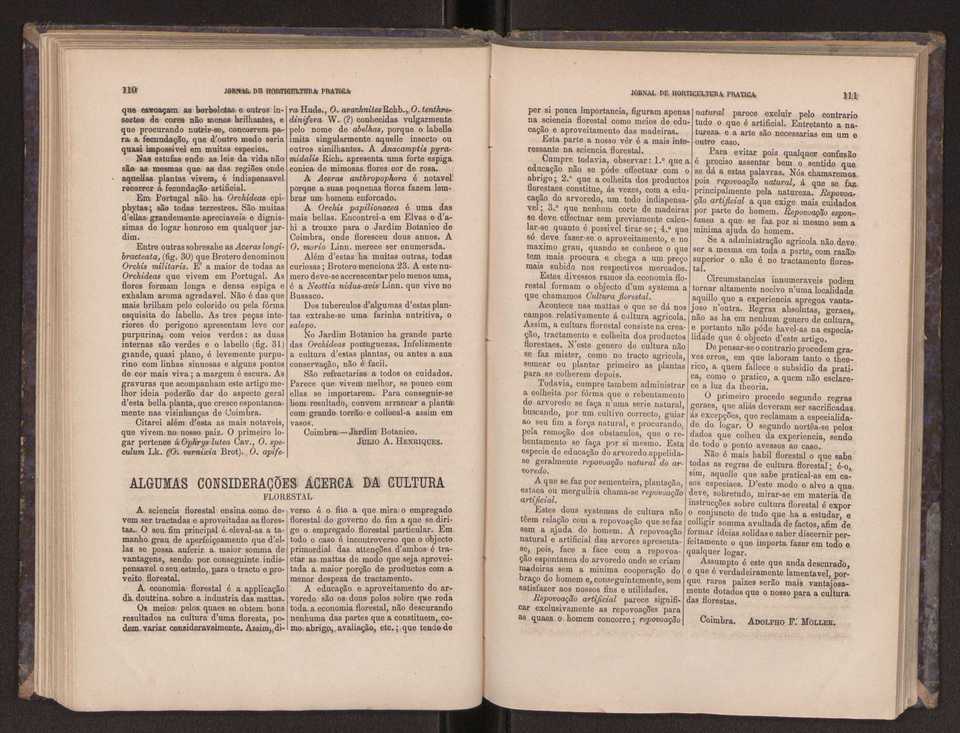 Jornal de horticultura prtica III 63