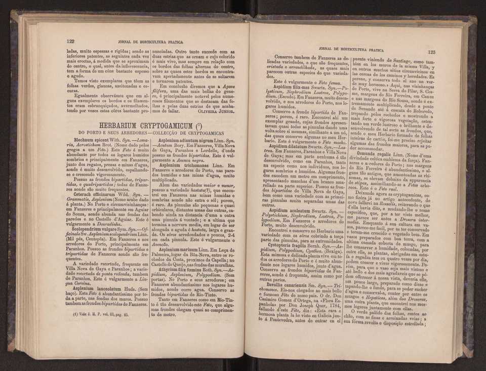 Jornal de horticultura prtica III 69