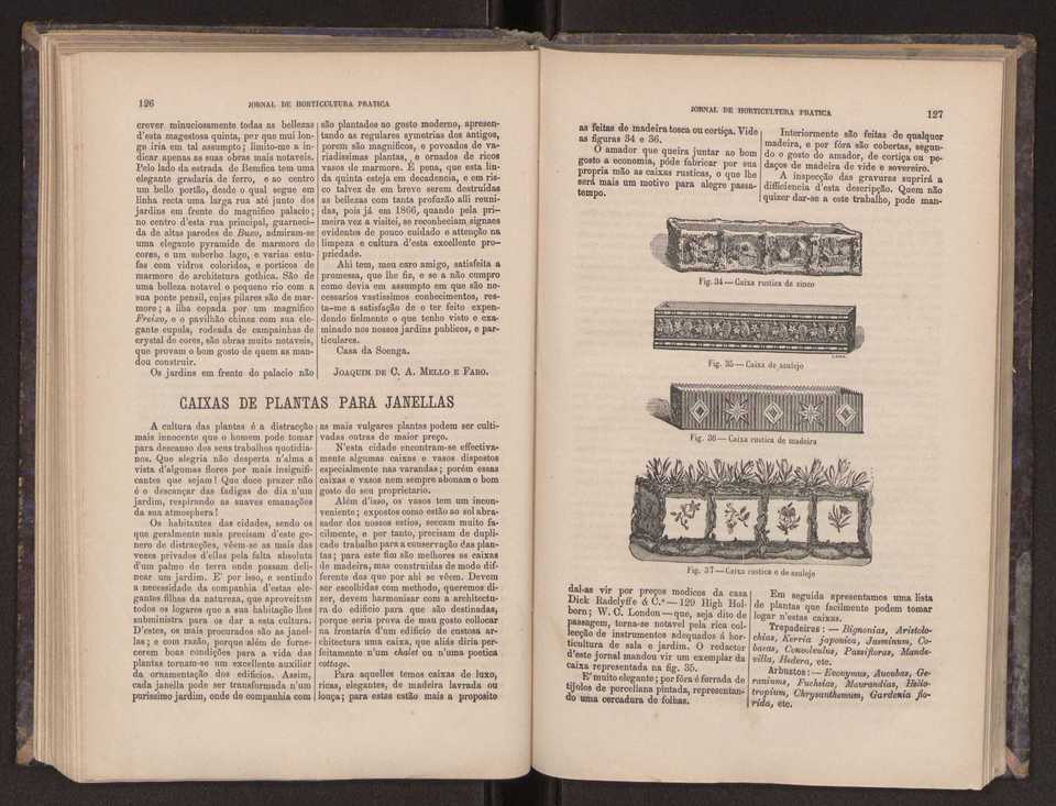 Jornal de horticultura prtica III 71