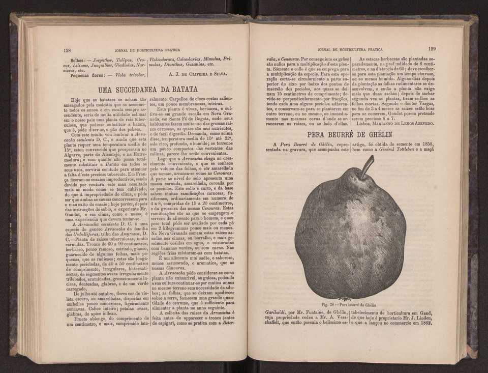 Jornal de horticultura prtica III 72