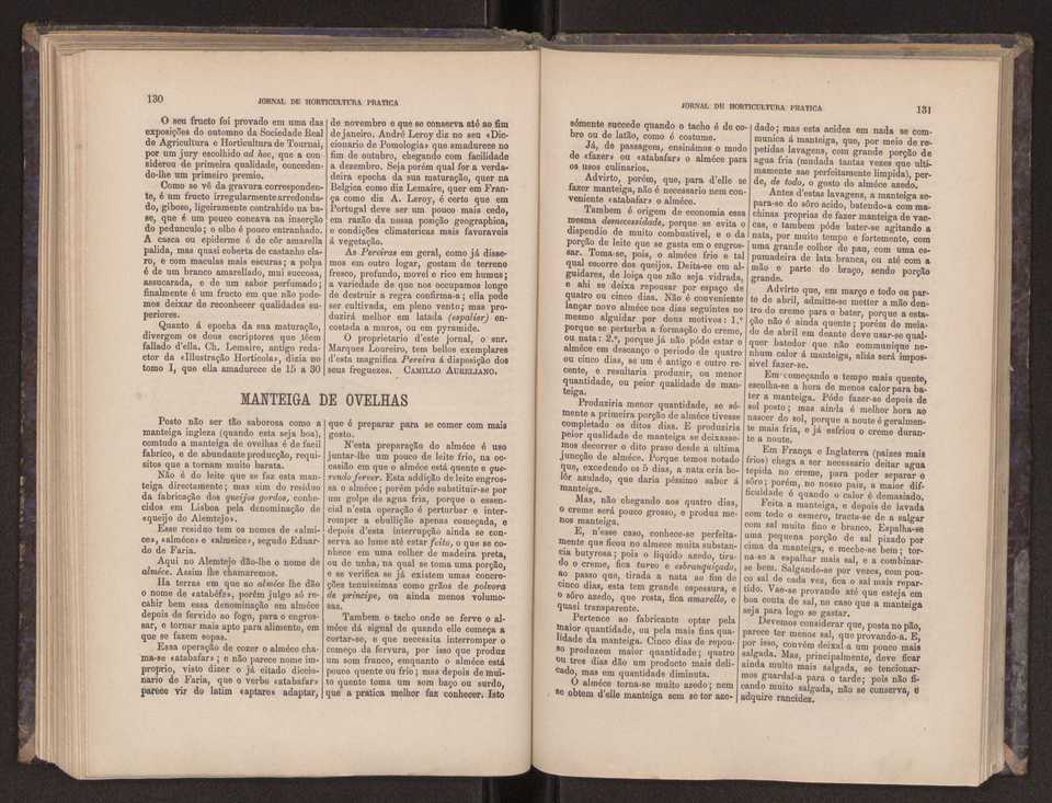 Jornal de horticultura prtica III 73