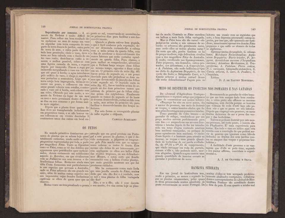 Jornal de horticultura prtica III 82