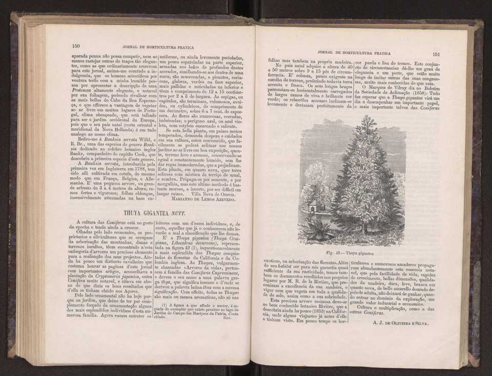 Jornal de horticultura prtica III 83