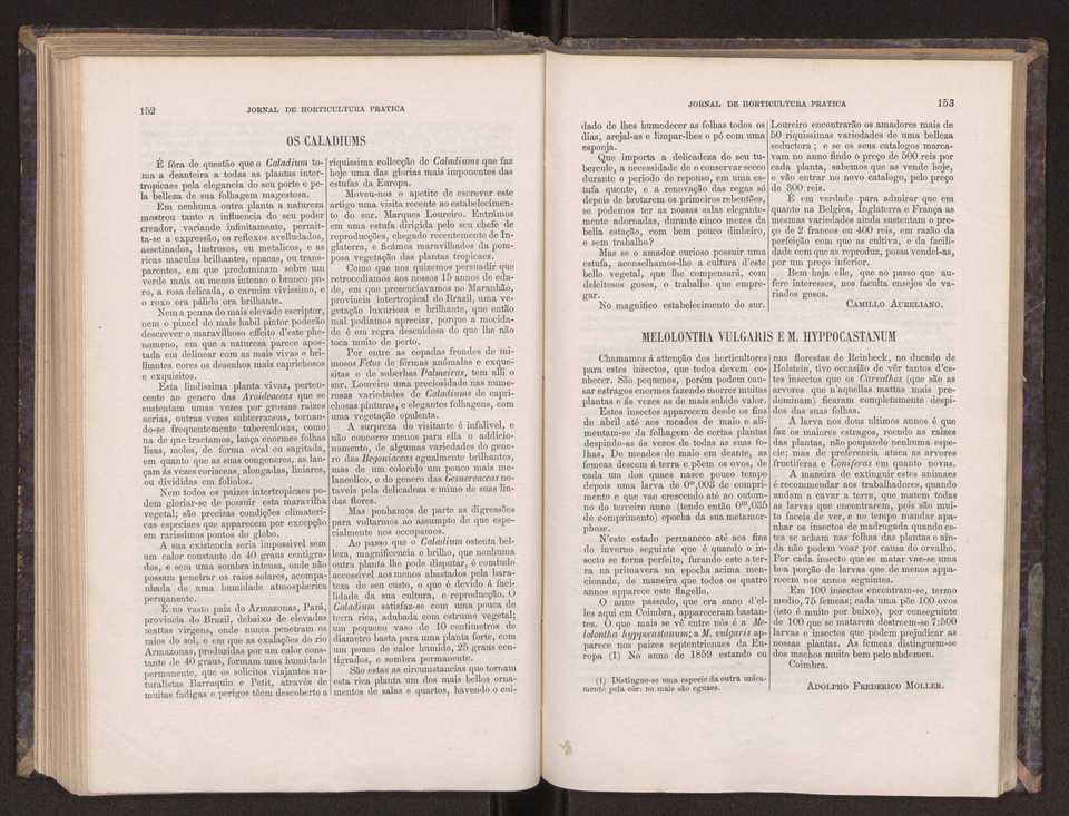 Jornal de horticultura prtica III 84