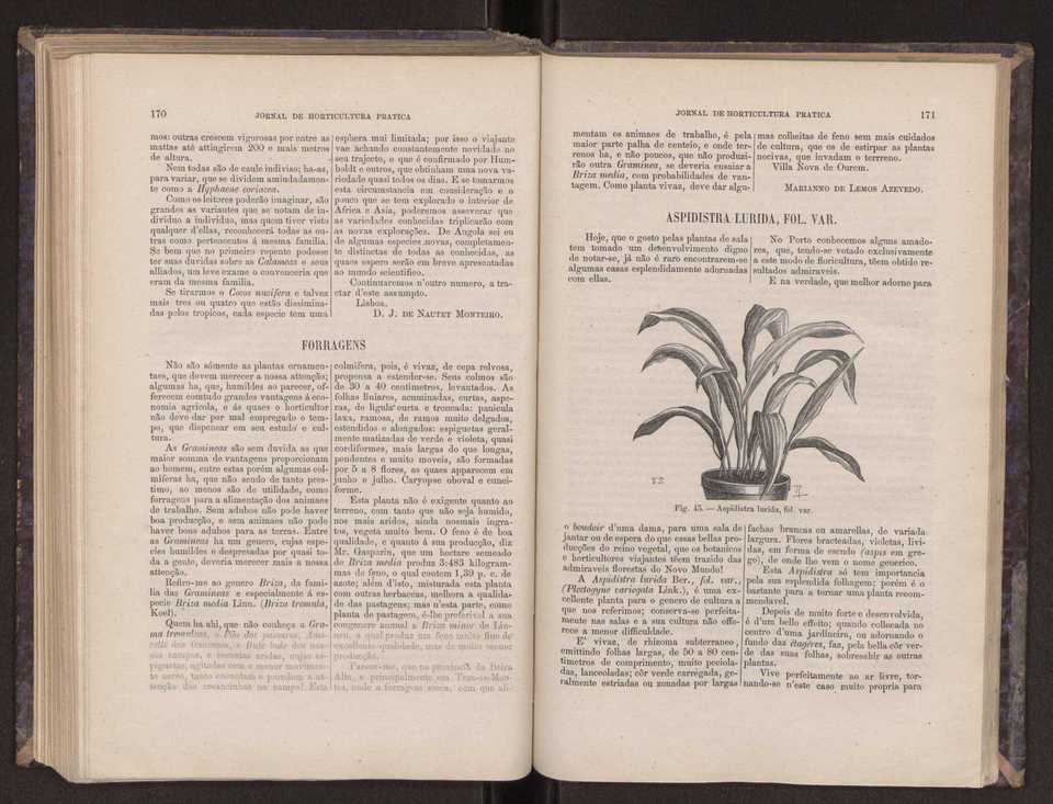 Jornal de horticultura prtica III 93