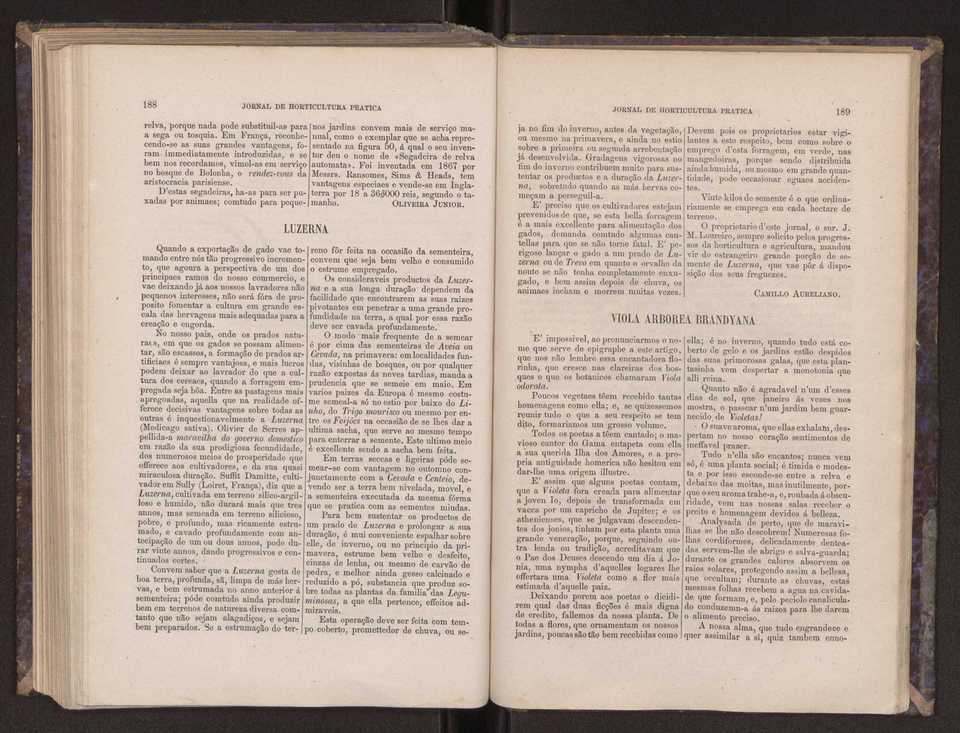 Jornal de horticultura prtica III 102