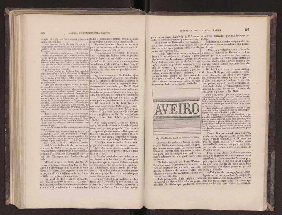 Jornal de horticultura prtica III 106