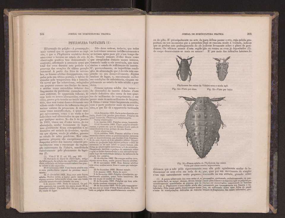 Jornal de horticultura prtica III 110