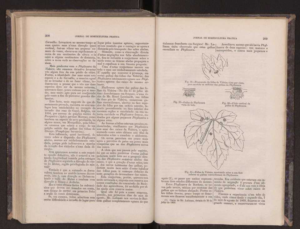 Jornal de horticultura prtica III 112