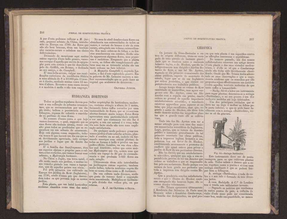 Jornal de horticultura prtica III 116