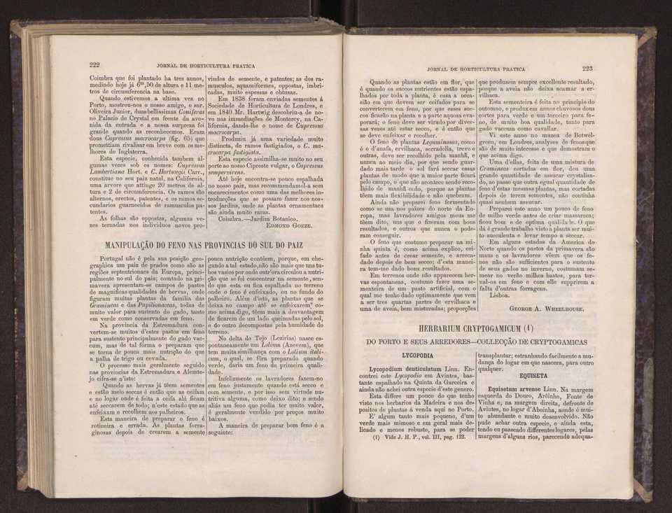 Jornal de horticultura pr�tica III 119