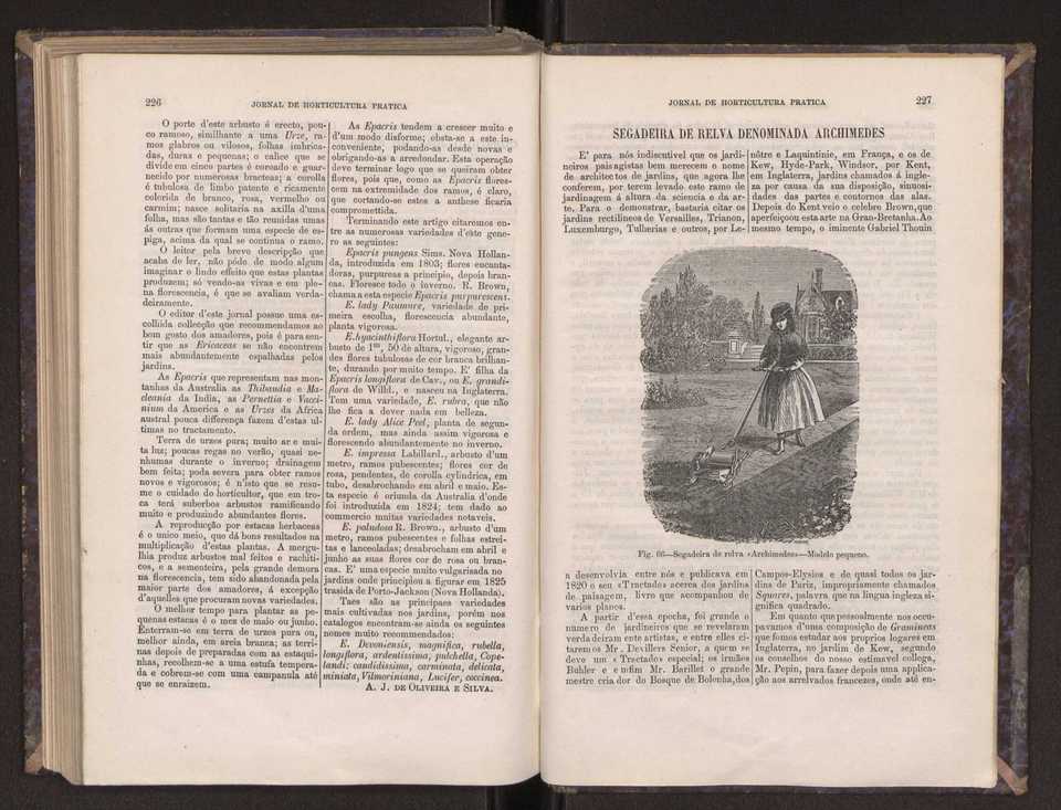 Jornal de horticultura prtica III 121