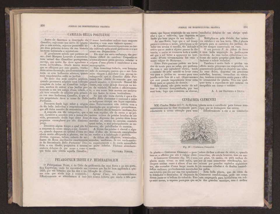 Jornal de horticultura prtica III 123