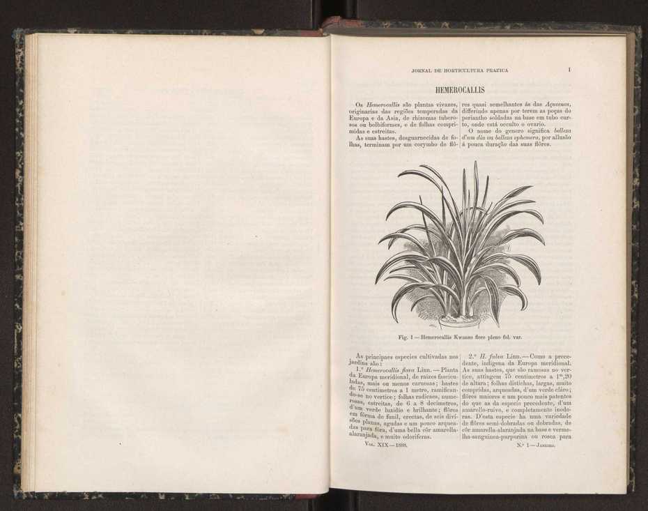 Jornal de horticultura prtica XIX 11