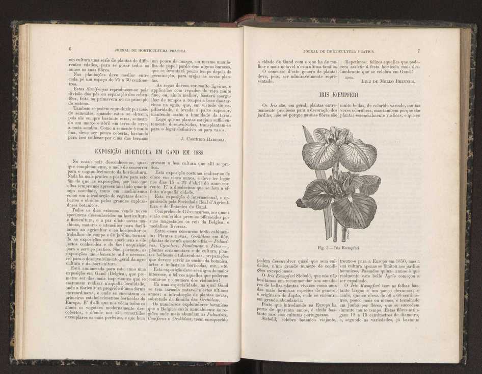 Jornal de horticultura prtica XIX 14