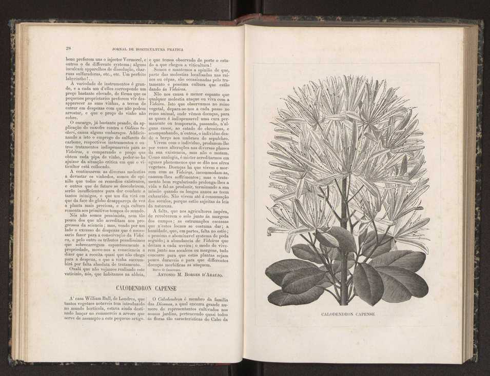 Jornal de horticultura prtica XIX 25