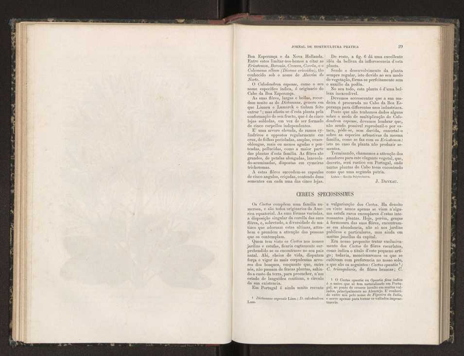 Jornal de horticultura prtica XIX 26