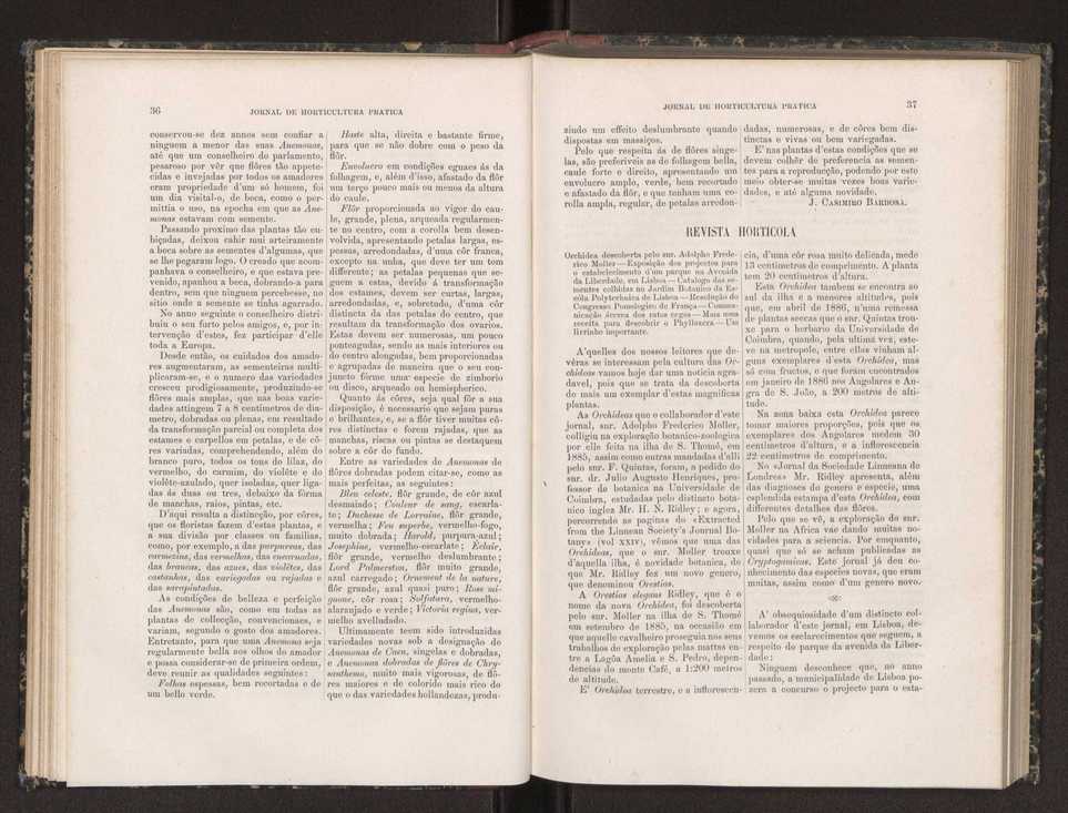 Jornal de horticultura prtica XIX 30