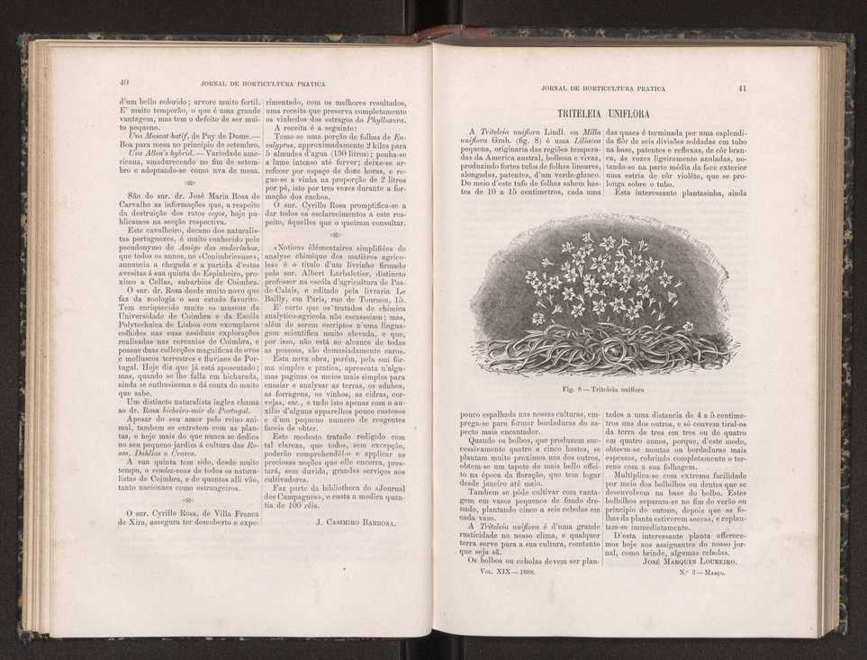 Jornal de horticultura prtica XIX 32