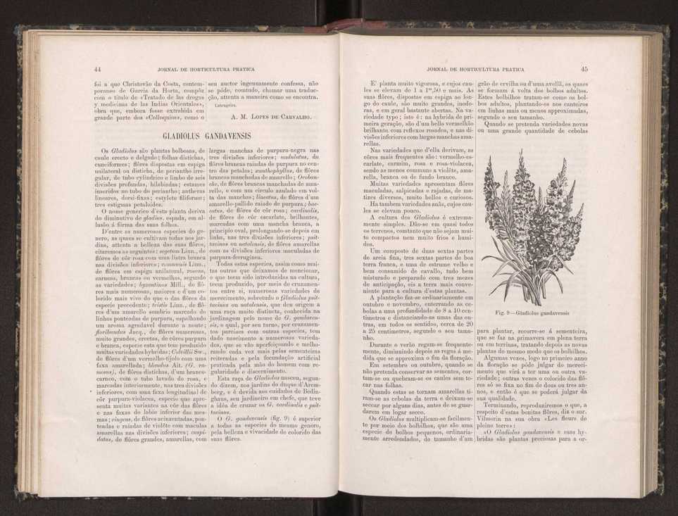 Jornal de horticultura prtica XIX 34