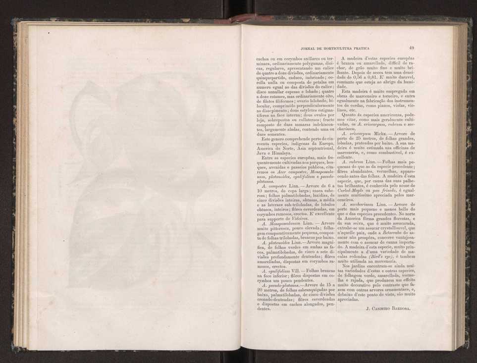 Jornal de horticultura prtica XIX 37