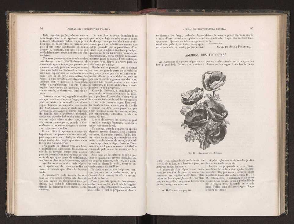 Jornal de horticultura prtica XIX 40