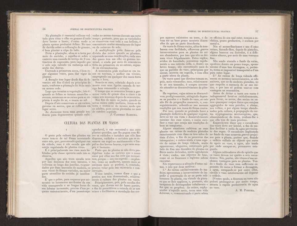 Jornal de horticultura prtica XIX 41