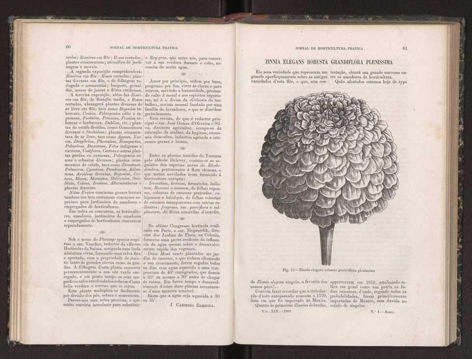Jornal de horticultura prtica XIX 43