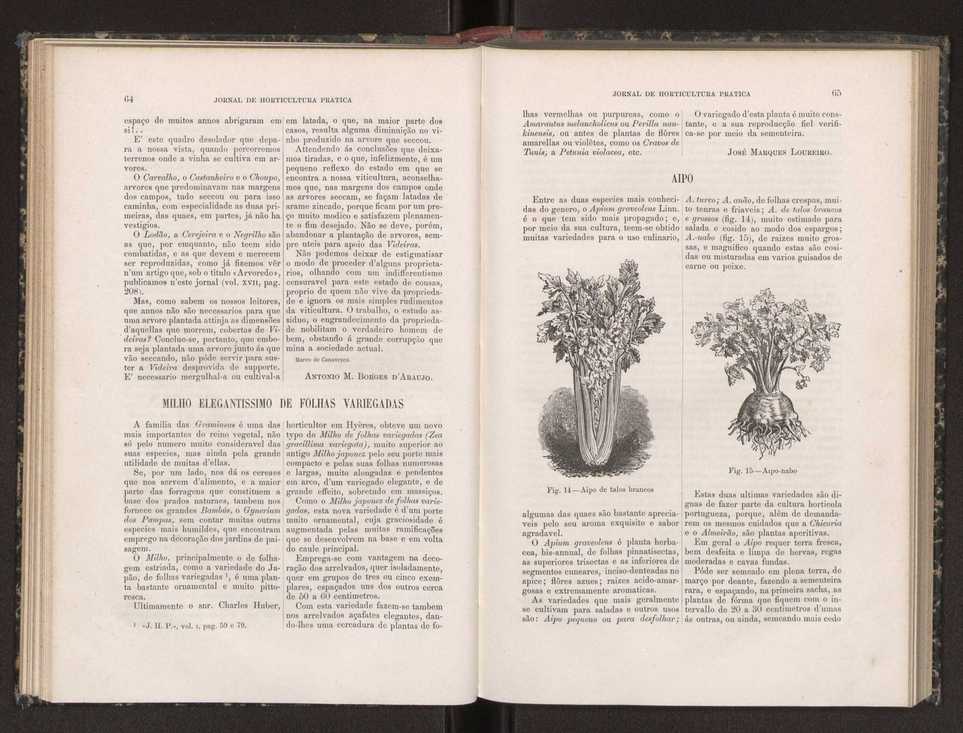 Jornal de horticultura prtica XIX 45