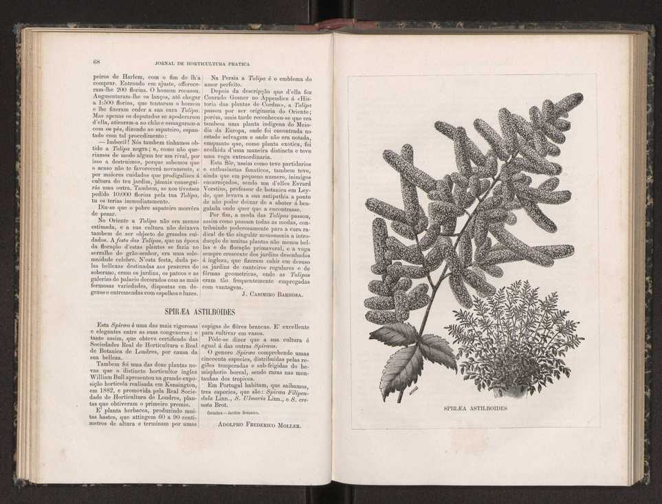 Jornal de horticultura prtica XIX 47