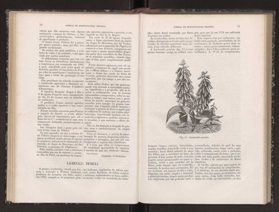 Jornal de horticultura prtica XIX 49